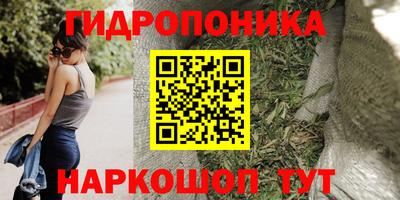 мяу мяу мука Бугуруслан