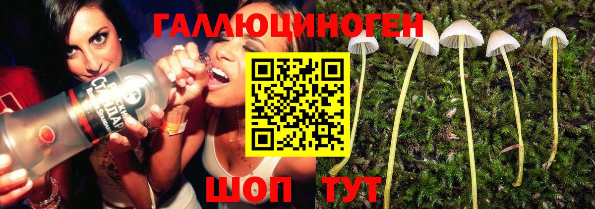 Псилоцибиновые грибы Cubensis  Вход с VPN  магазин    Бугуруслан 