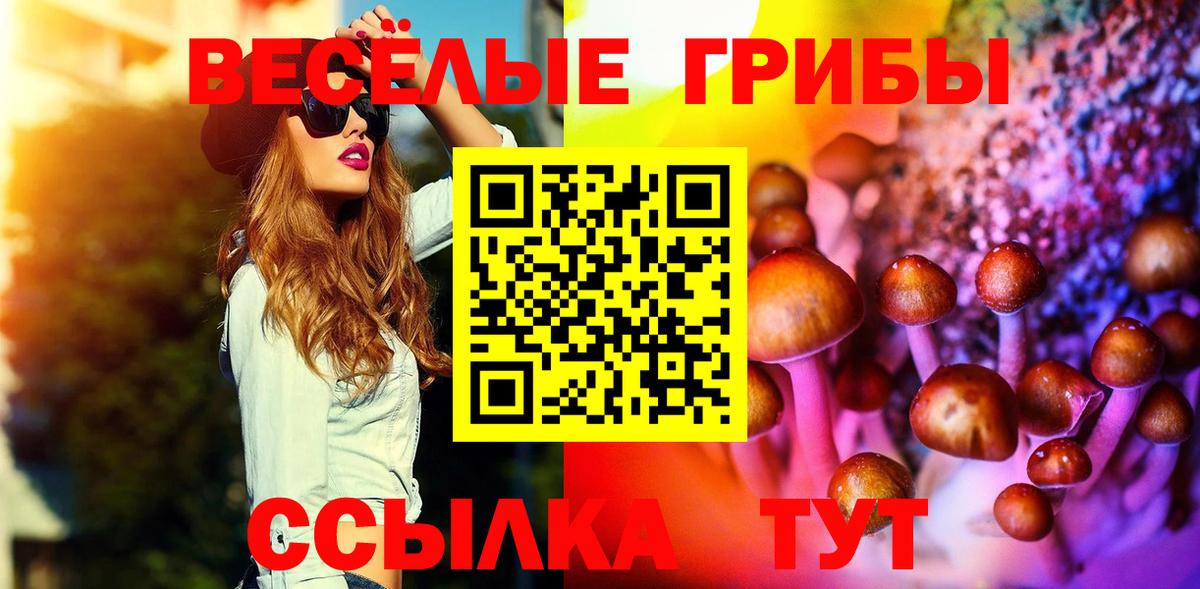 Галлюциногенные грибы прущие грибы Бугуруслан